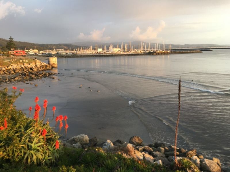 Pillar Point Harbor, San Mateo County