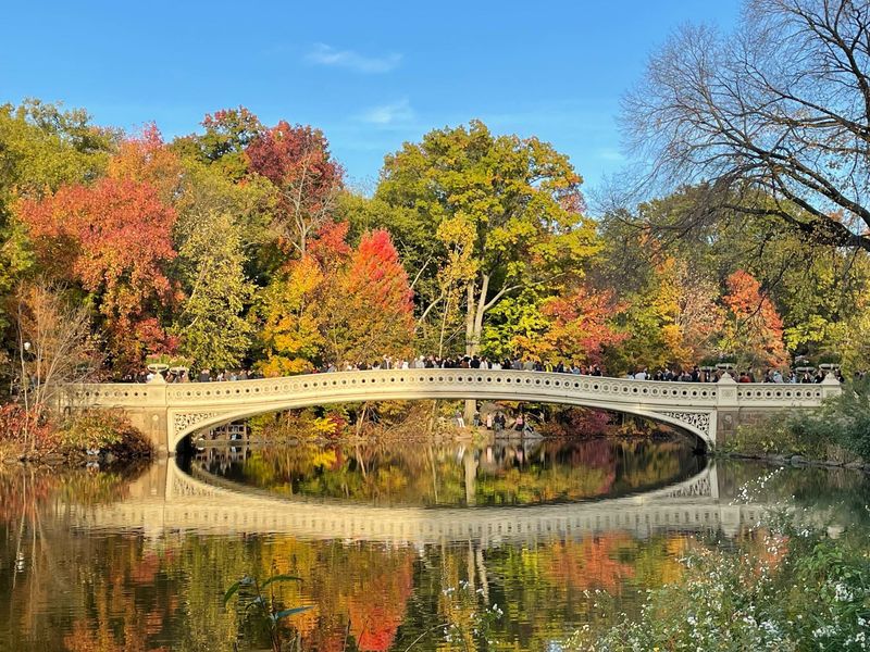 Central Park Escape