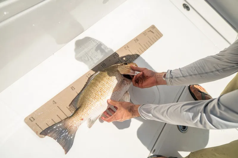 Fishing rules are detailed and enforced