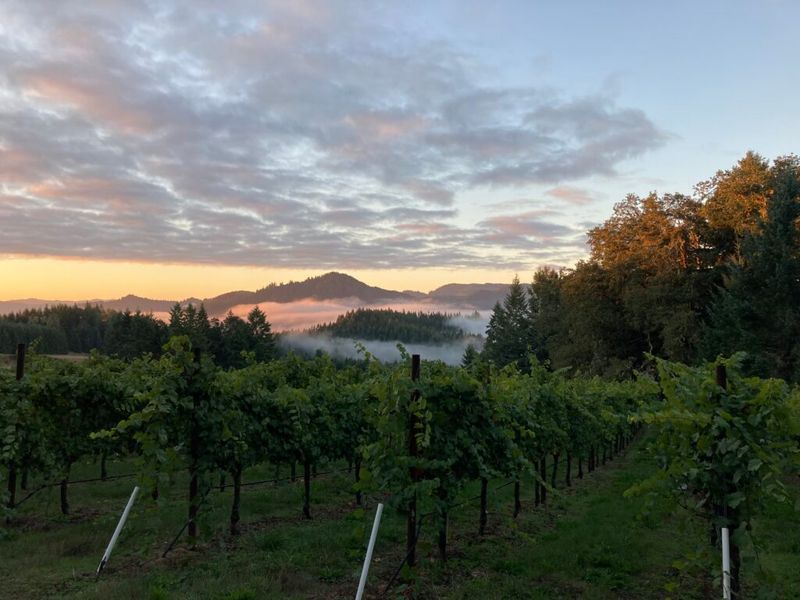 Indulge in Southern Oregon Wine Country