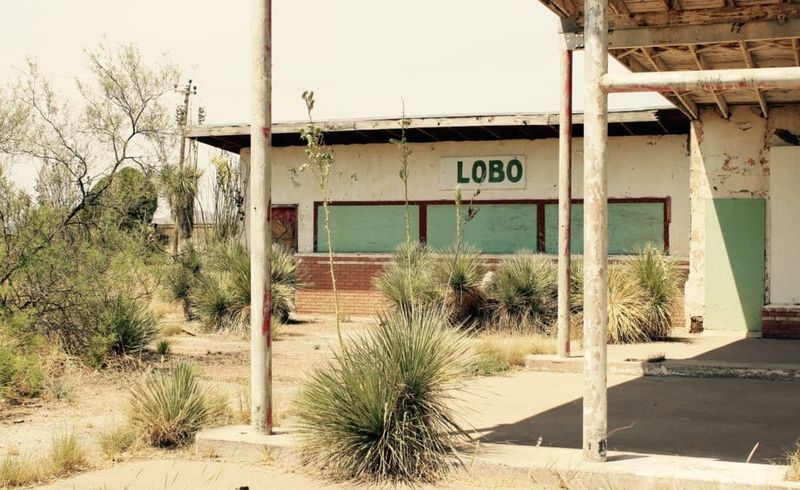 Lobo: Motel Tiles and Bathroom Fixtures