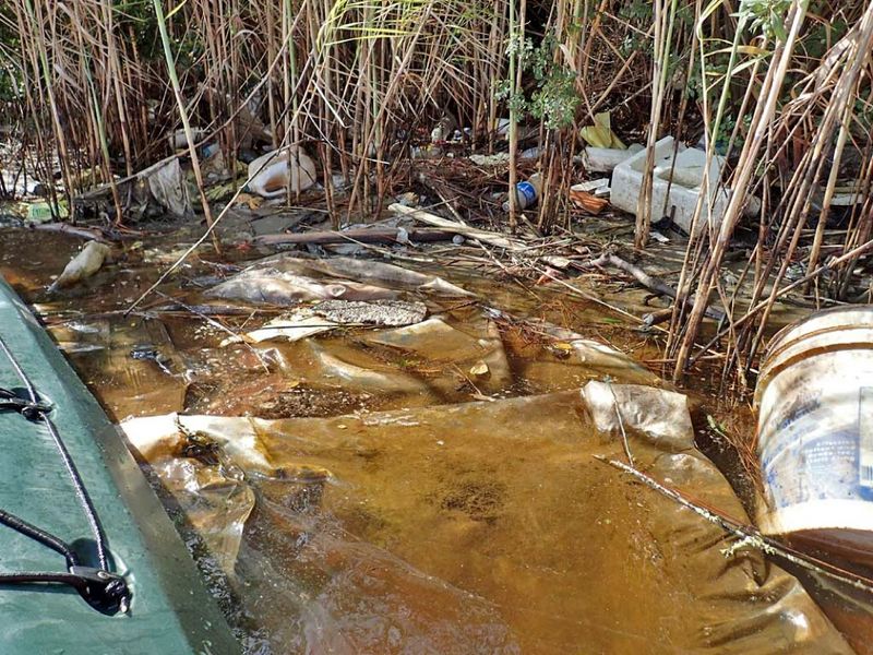Environmental Damage to Fragile Ecosystems