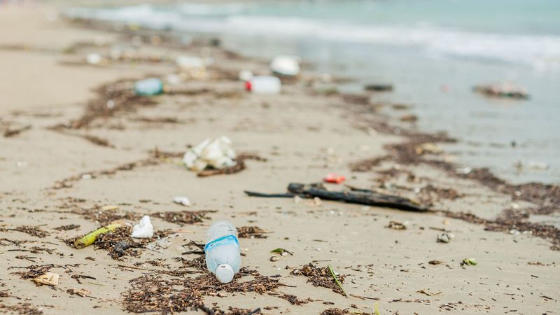 Environmental Damage Threatens Maine's Natural Beauty