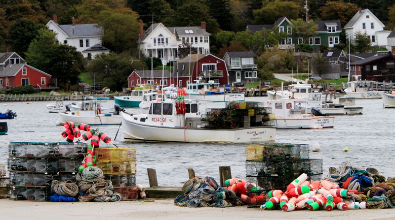 Environmental Damage Threatens Traditional Livelihoods