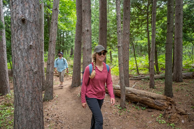 How to Enjoy the Forest Responsibly