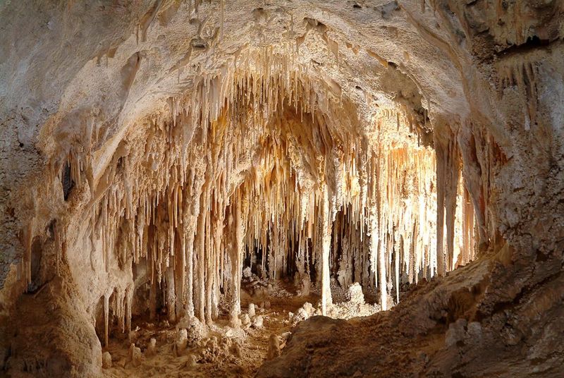 Congested Access Roads to Carlsbad Caverns