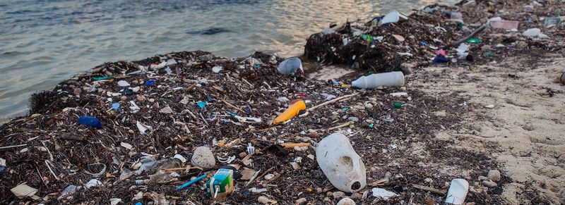 Dumping Trash Or Pollutants Into Coastal Waters
