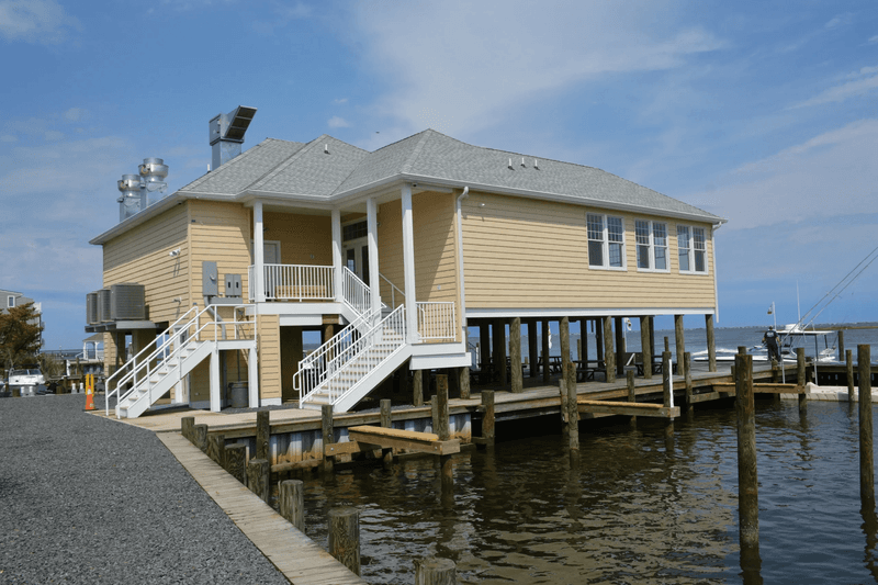 A Dockside Appetite