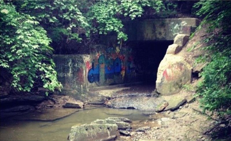 The Silence That Feels Alive