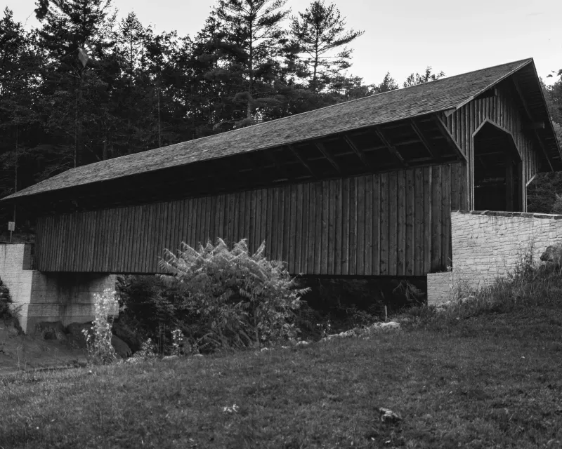 The Beauty That Hides the Unease