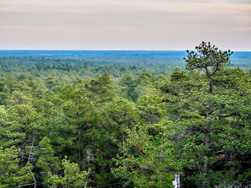 Talking Pine Barrens, Shore Towns, and Legends Like Family Lore