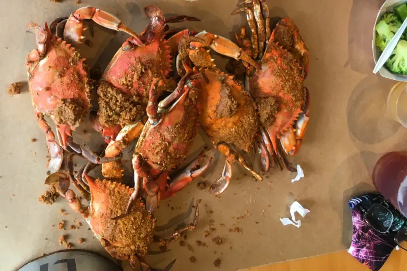 Rustic, Laid-Back Crab House Atmosphere