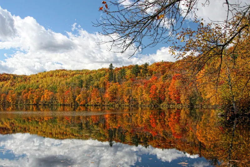 Spectacular Fall Colors