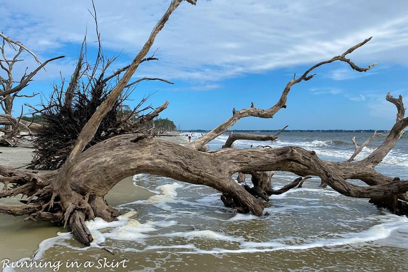 St. Simons & Jekyll Island – Golden Isles Growing Pains