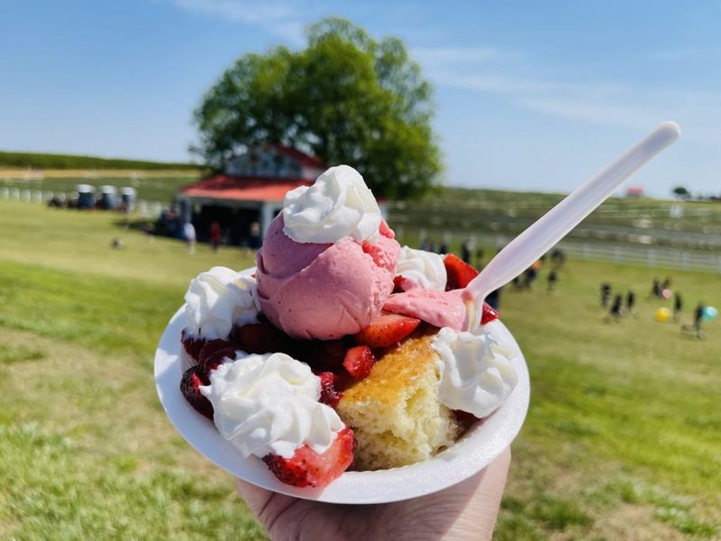 The Cooley Family Legacy And Farm History