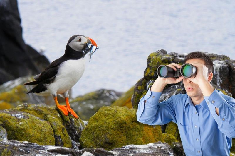 Leaving Binoculars Behind
