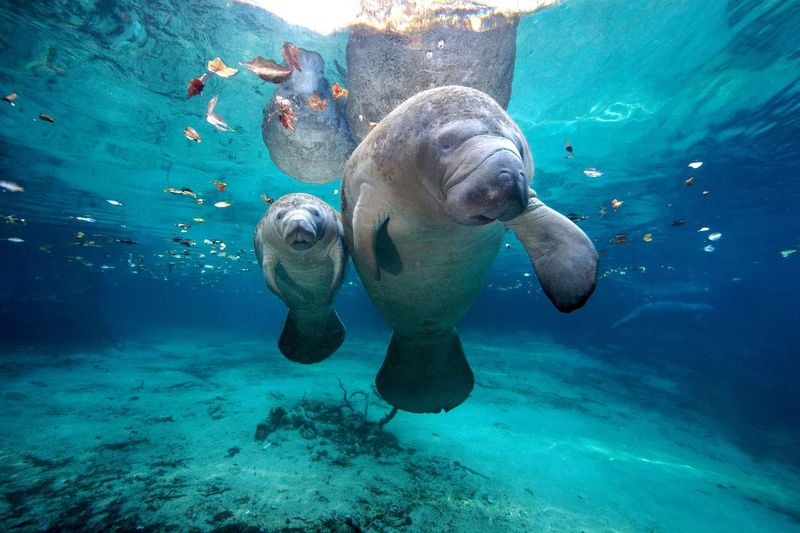 Unexpected Wildlife Encounters