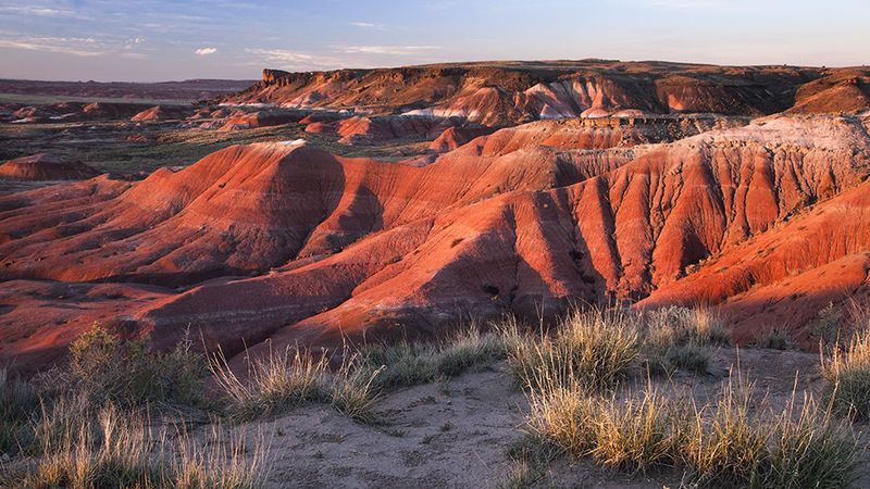 Nearby Attractions and Desert Adventures