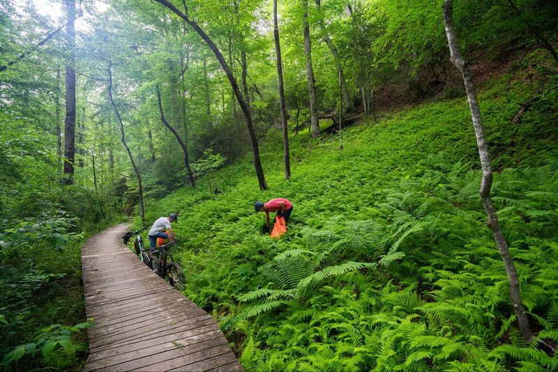 The best going local experiences help preserve culture
