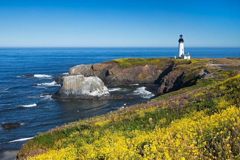 Climbing Rocks and Sea Stacks for the Perfect Shot