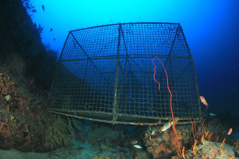 Interfering with Commercial Fishing Gear