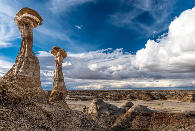 BLM Badlands and Cryptobiotic Crusts