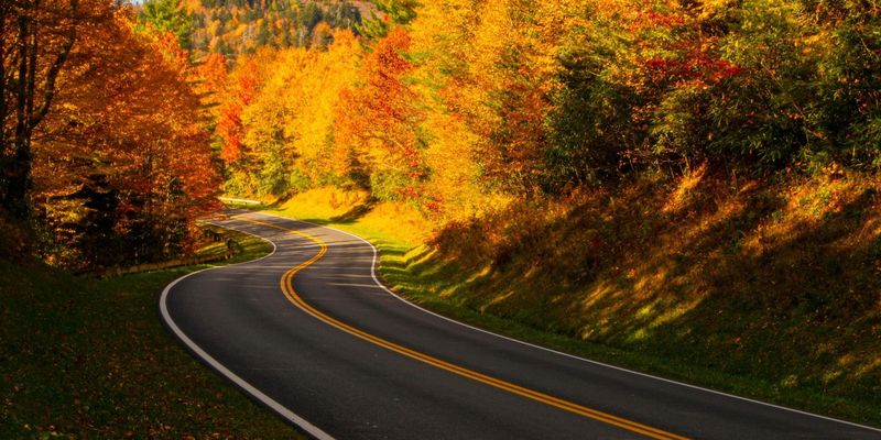 The Ritualistic Attraction