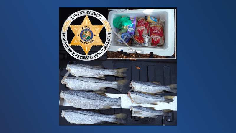 Keeping Prohibited Species During Closed Seasons