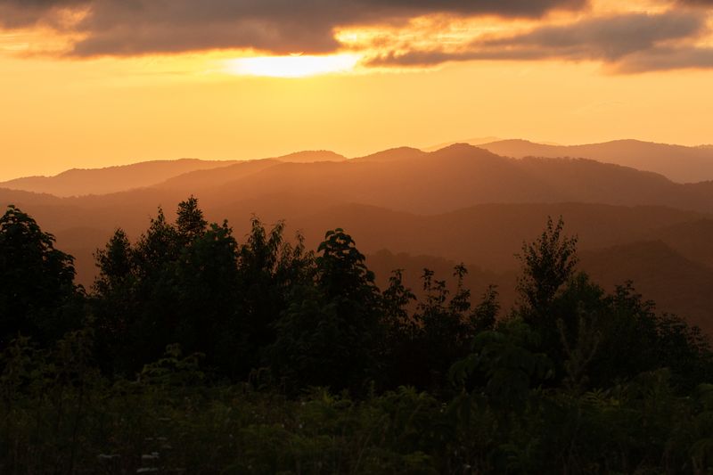 The Sound of Silence in the Hills
