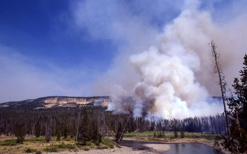 Wildfire Smoke and Scorching Heat Cloud the Experience