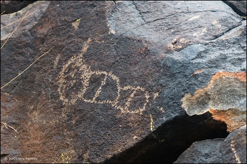 Stealing Rock Fragments As Souvenirs