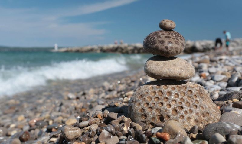 Petoskey State Park