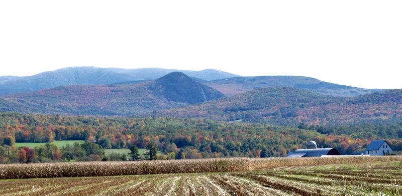 Haverhill - Beauty in Simplicity