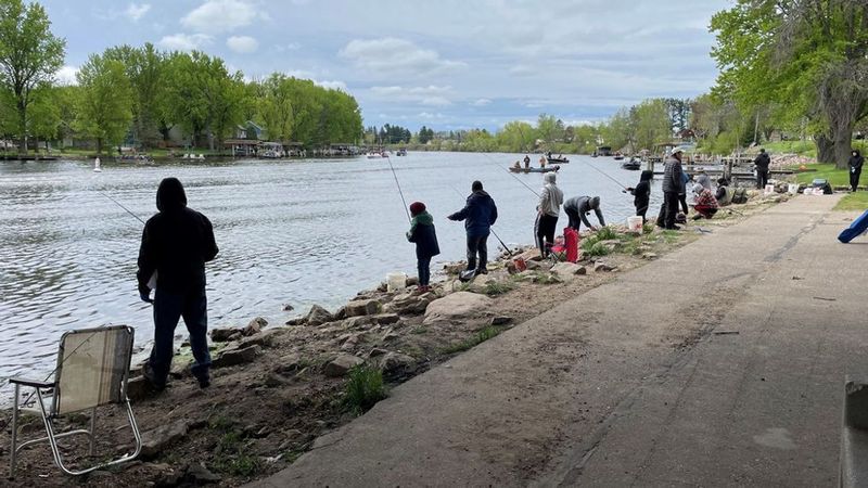 Checking License And ID At Public Access Points