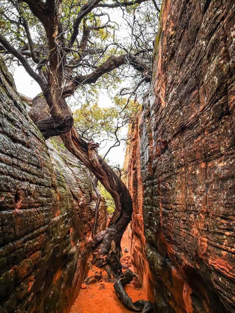 Red Cave – Red Cliffs Desert Reserve, UT