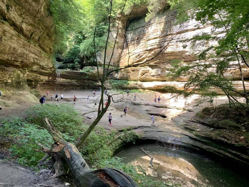 Trails that invite slow walking, not hiking goals