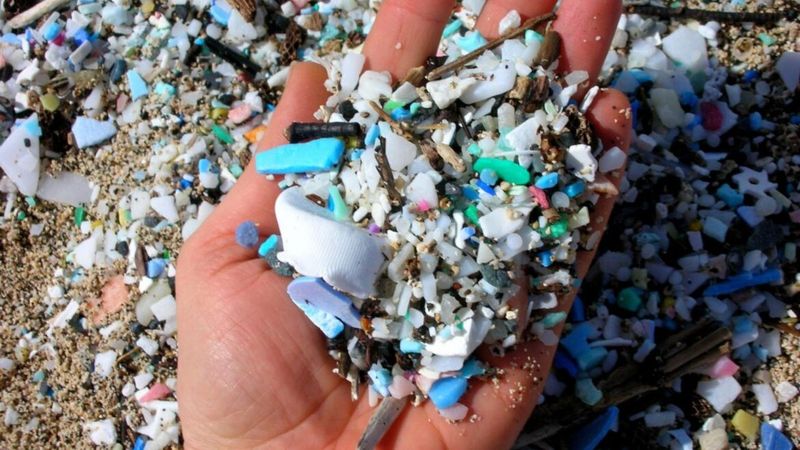 Microplastics and pollution lurk below the surface