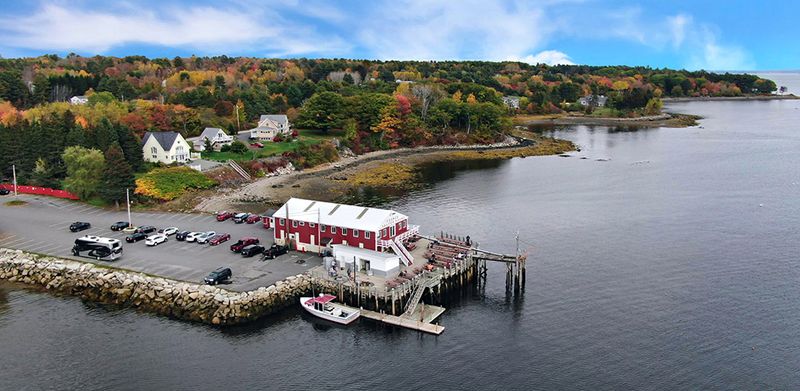 Young's Lobster Pound