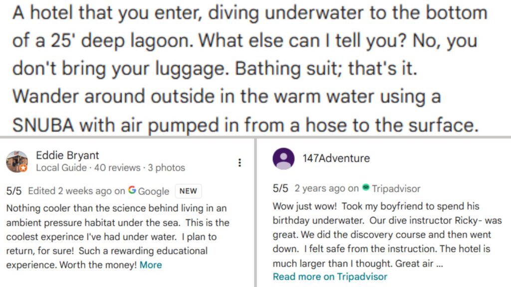 What Guests Are Saying Real Reviews from Underwater Visitors