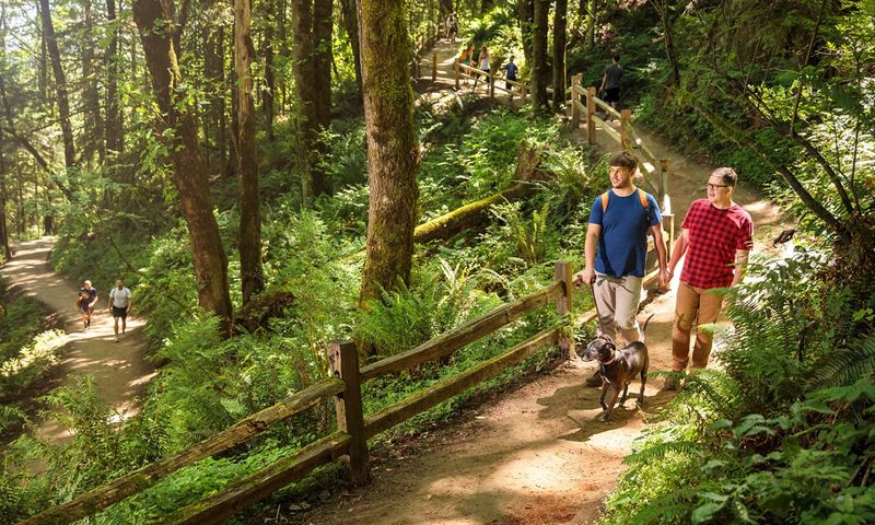 Wandering Off Marked Trails