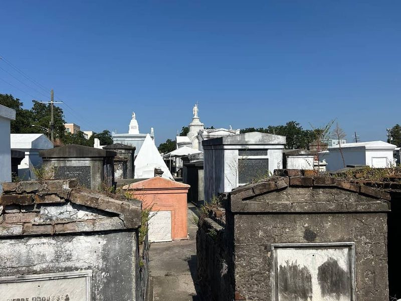 What Visitors Are Saying