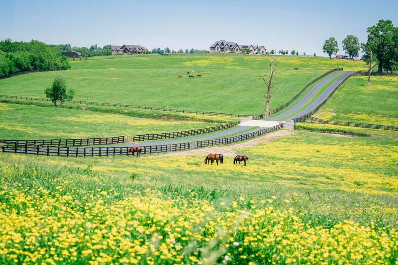 Responsible Travel, Real Impact