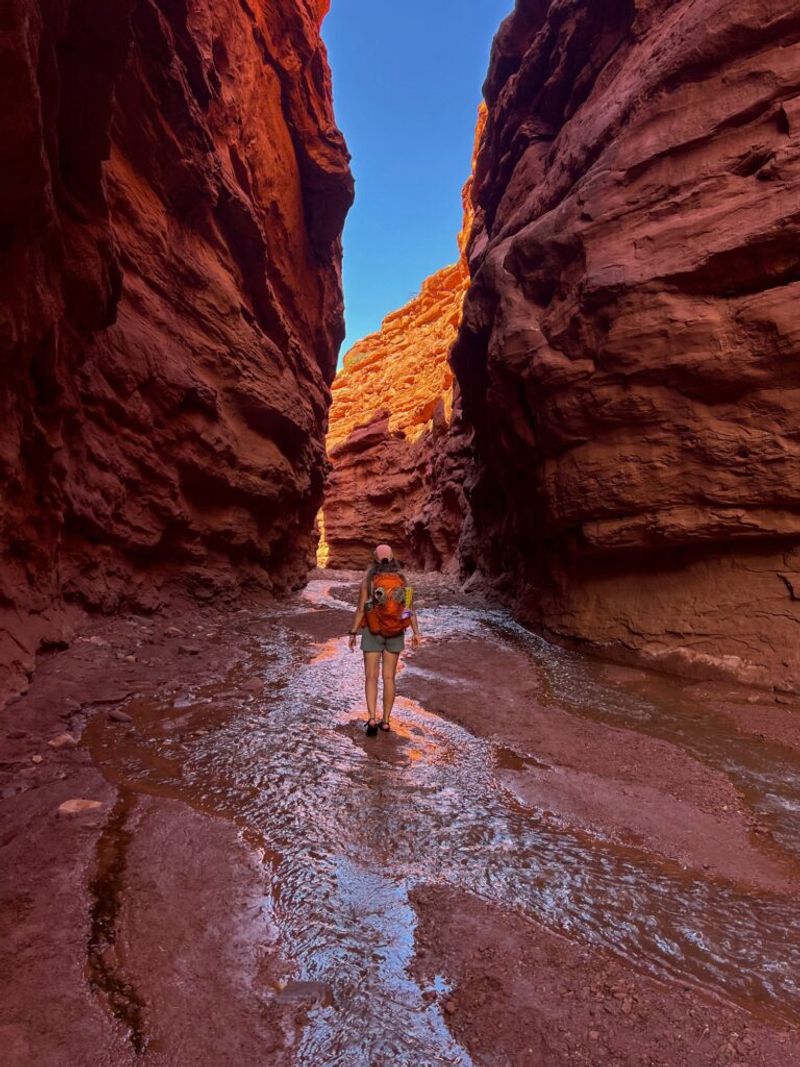 The Impact on Trails and Nature