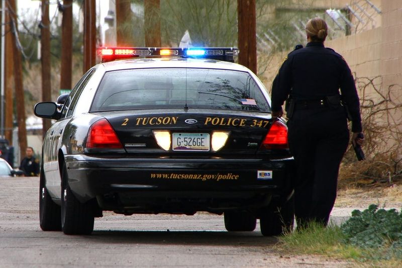 Real Cases Where Singers Got Cited