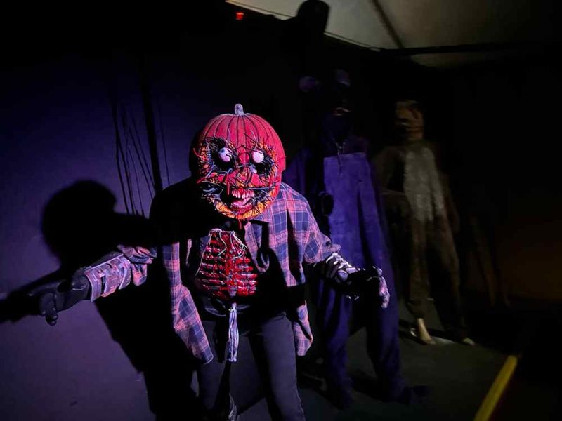 Haunted Forests and Corn Mazes