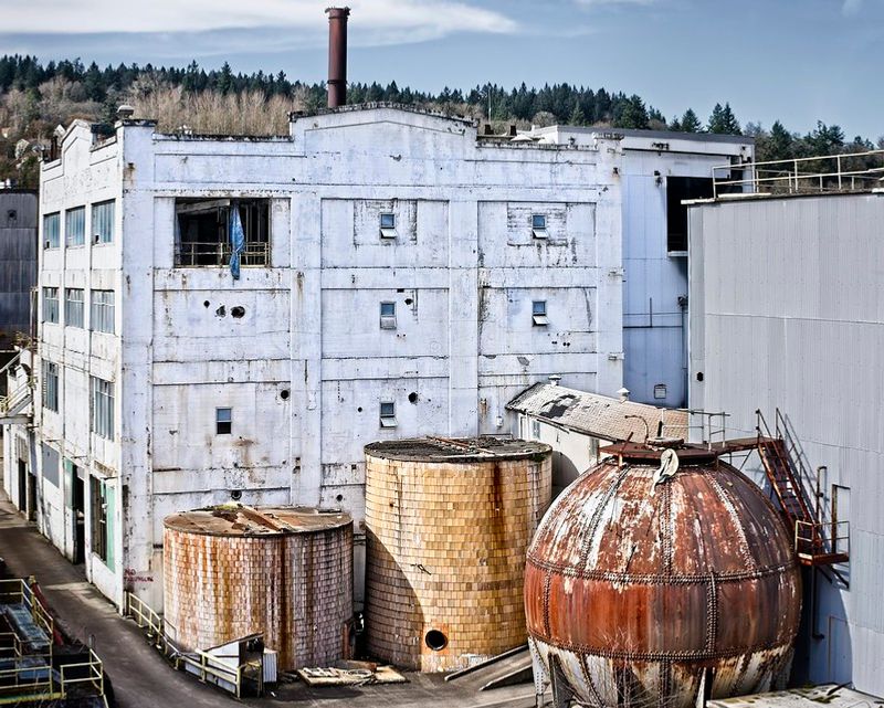 Blue Heron Paper Mill