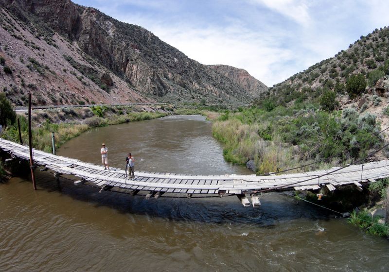 Rio Grande Bosque Habitat Intrusions