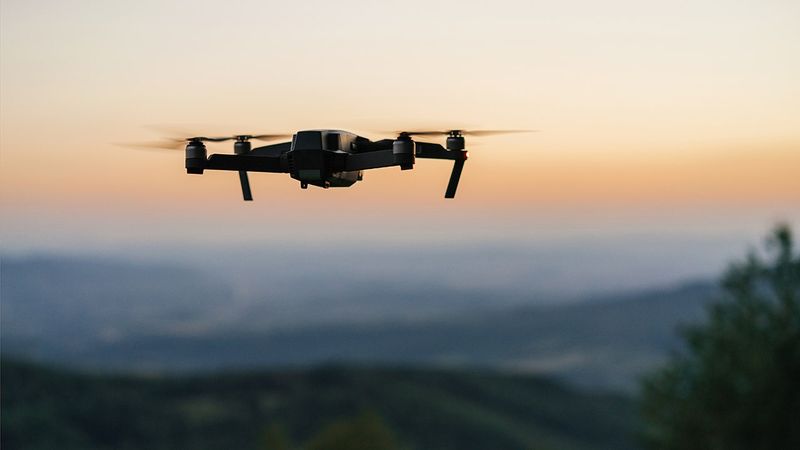 The Role of Wildlife and Airspace Protection Laws