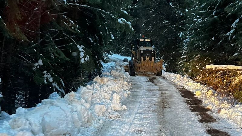 Bear Camp Road: Modern Dangers