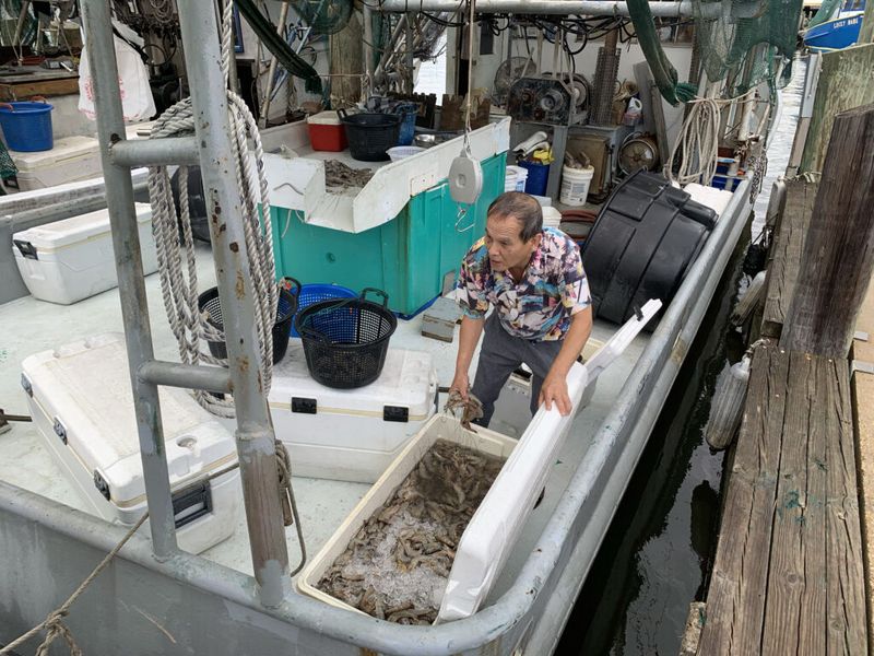The Unbeatable Freshness (Boat-to-Market)